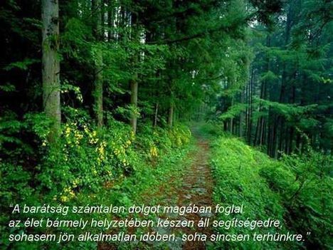 a_baratsag_szamtalan.jpg