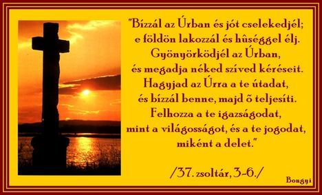 bizzal_az_urban.jpg